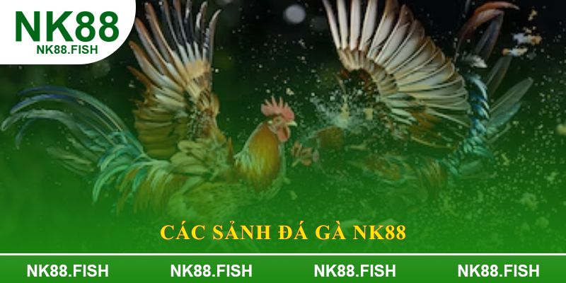 Các sảnh Đá gà NK88