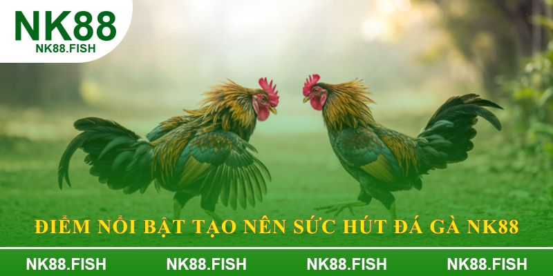 Điểm nổi bật tạo nên sức hút Đá gà NK88