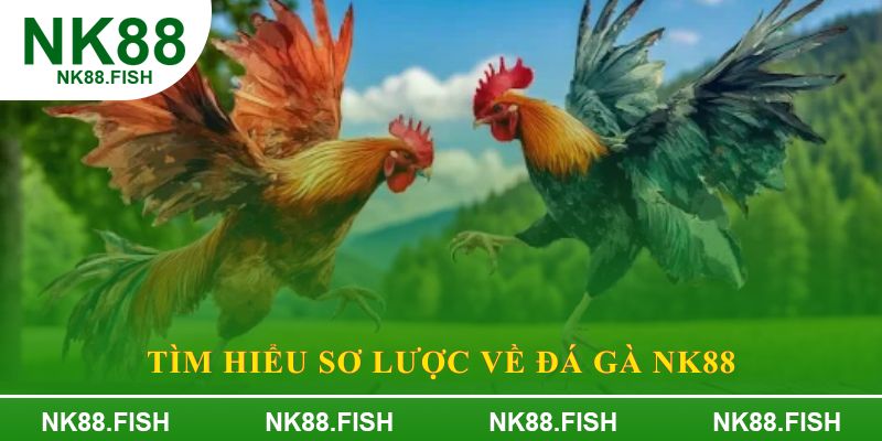 Tìm hiểu sơ lược về Đá gà NK88